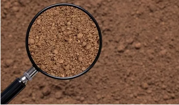 خاک در ساختمان سازی